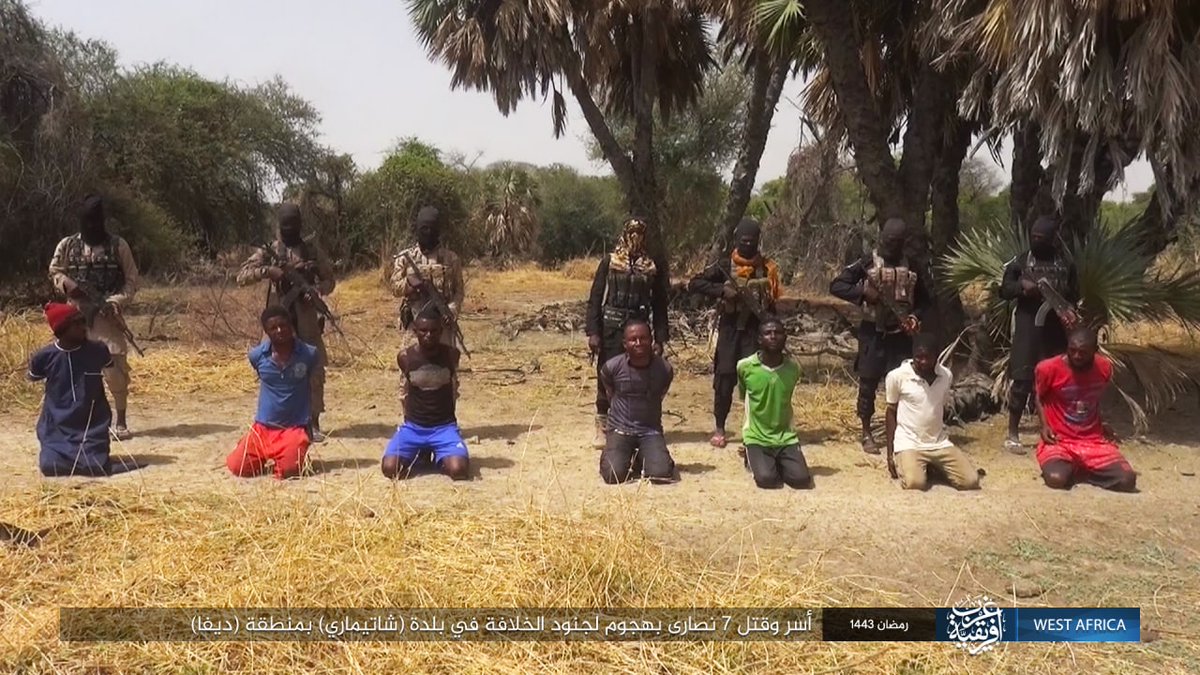 Wilayah West Africa: ISWAP claimed capture and execution of 7 Christians in Diffa region, eastern Niger