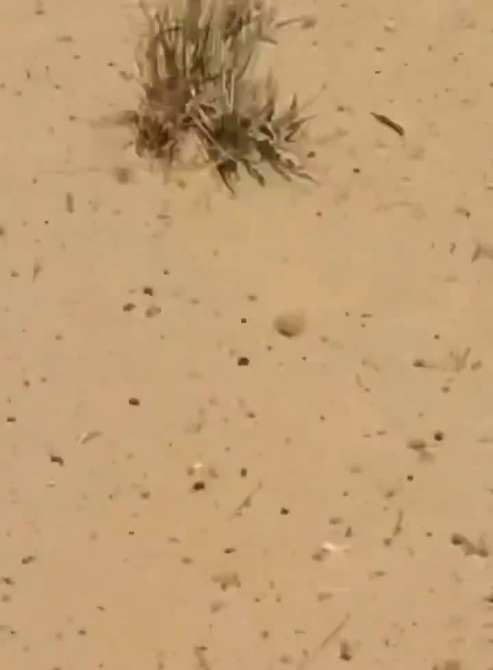 Mali: FLA(Azawad Liberation Front) attacks convoy of African Corps and FAMa advancing toward Kidal