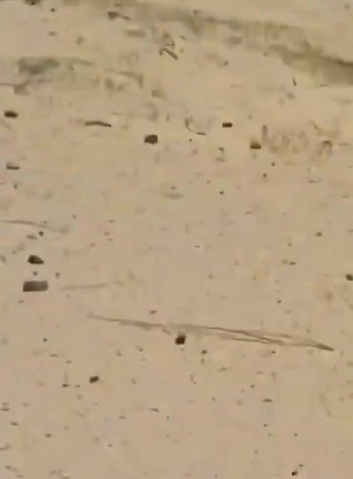 Mali: FLA(Azawad Liberation Front) attacks convoy of African Corps and FAMa advancing toward Kidal