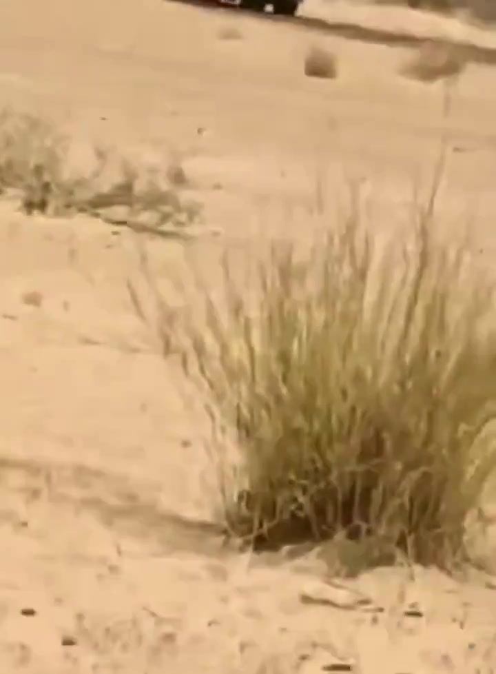 Mali: FLA(Azawad Liberation Front) attacks convoy of African Corps and FAMa advancing toward Kidal