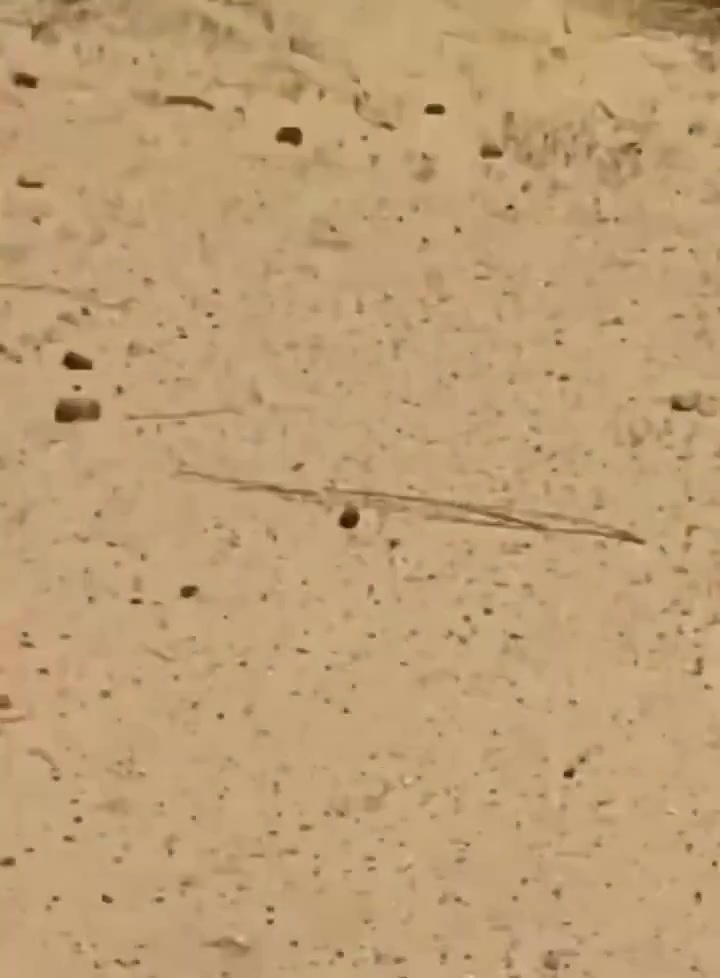 Mali: FLA(Azawad Liberation Front) attacks convoy of African Corps and FAMa advancing toward Kidal