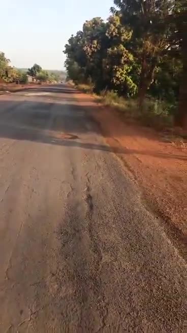 Militantes de Jnim regresaron para mostrar los camiones cisterna quemados. Según mis registros, 41 camiones cisterna fueron quemados en la emboscada entre Zegoua y Sikasso.