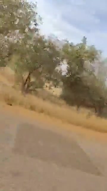 Tuareg JNIM militant and his unit on the road between Kita and Bamako, they seem to be patrolling while trucks pass by unbothered, this is new evidence of significant reinforcements mobilized by JNIM from northern Mali to the west to enforce the ongoing fuel blockade