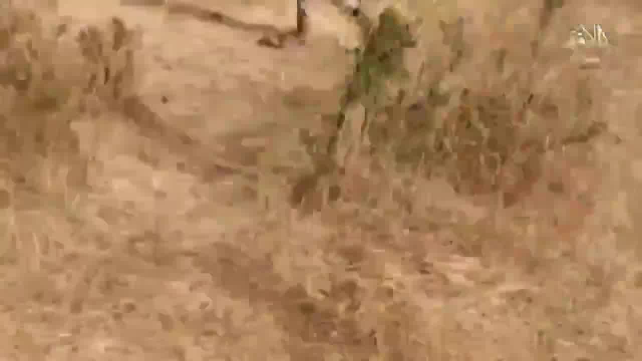 Mali: JNIM launches an ambush against the army on the Fassoudebe - Bema road