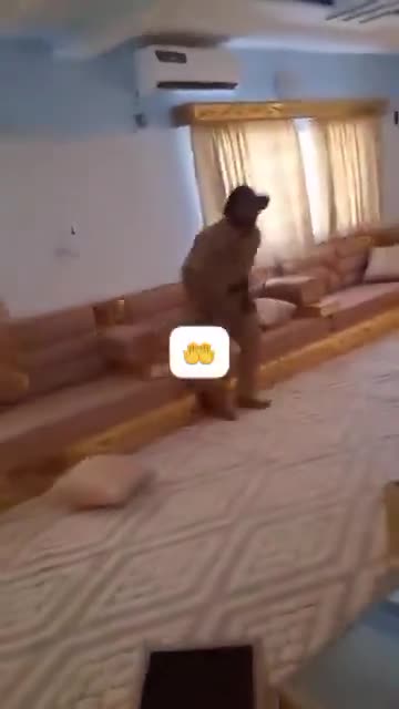 FLA units inside the Kidal governorate after the withdrawal of the governor El Hadj Ag Gamou. FLA/JNIM have mostly captured Kidal, it appears they're conducting clearing operations throughout the city, fighting is still ongoing in and around Gao and the situation remains fluid